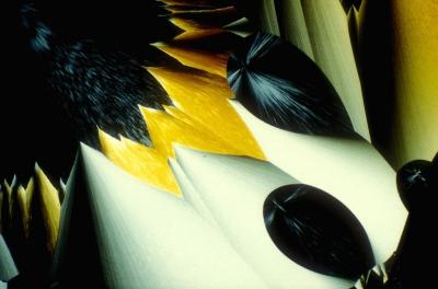 Прикрепленное изображение: 3736100_original.jpg